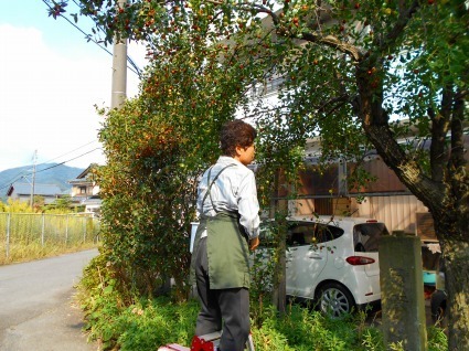 DSCN0967.jpg