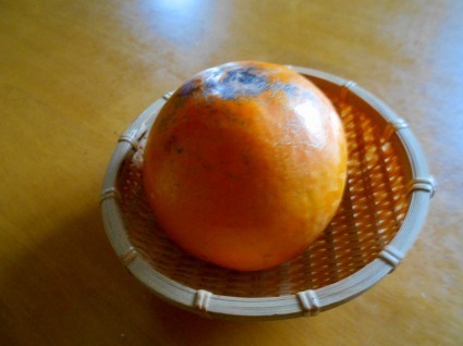DSCN1007.jpg