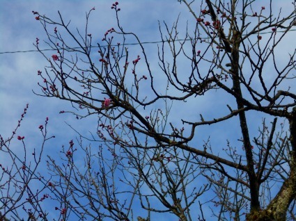 DSCN1465.jpg