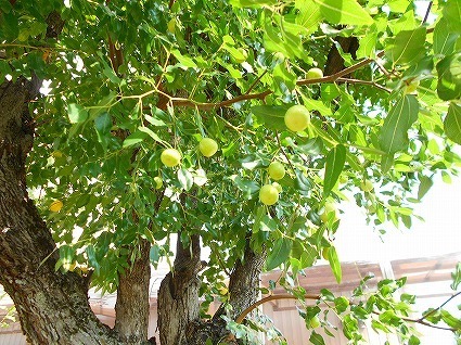 DSCN2586.jpg