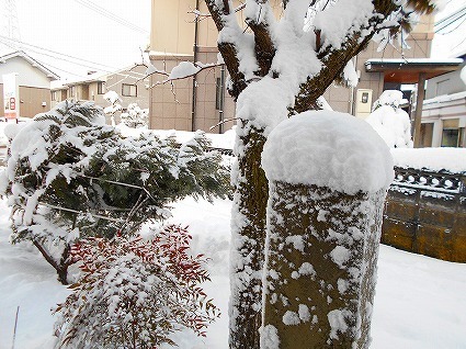 DSCN3456.jpg