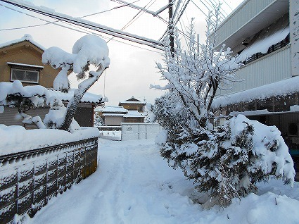 DSCN3457.jpg