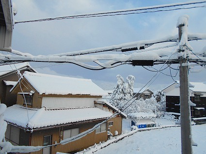 DSCN3459.jpg