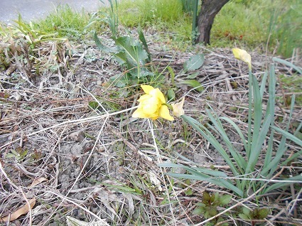 DSCN3645.jpg