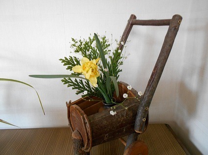 DSCN3646.jpg