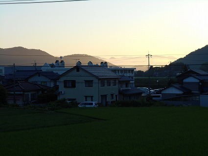 DSCN3984.jpg