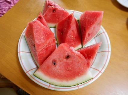 DSCN3995.jpg