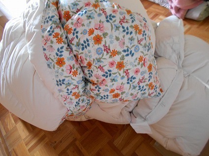 DSCN3998.jpg
