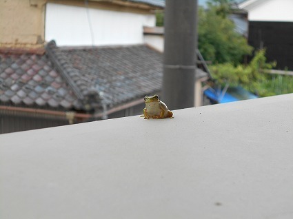 DSCN4067.jpg