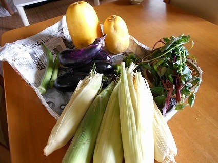 DSCN4078.jpg