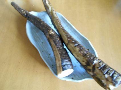 DSCN4080.jpg