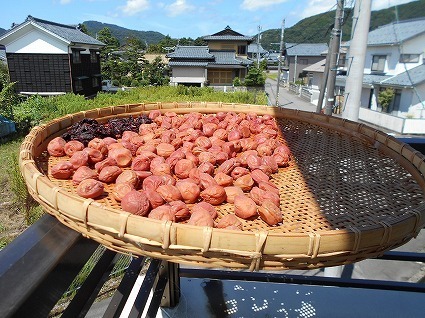 DSCN4088.jpg