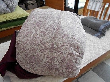 DSCN4090.jpg