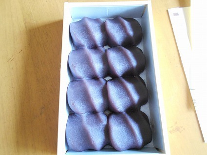 DSCN4516.jpg