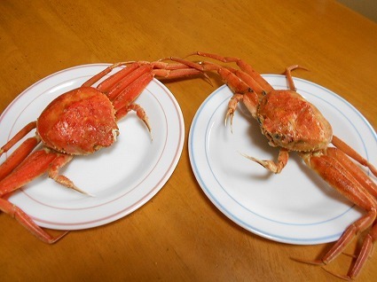 DSCN4549.jpg