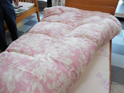 DSCN4616.jpg