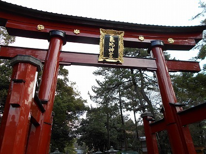 DSCN4641.jpg