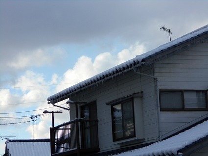 DSCN4652.jpg