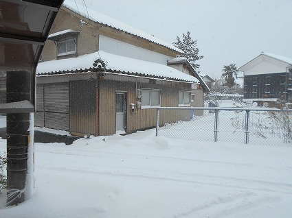 DSCN4669.jpg