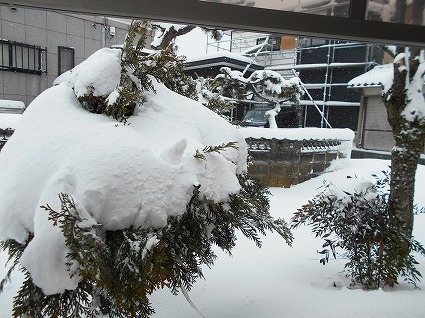 DSCN4670.jpg