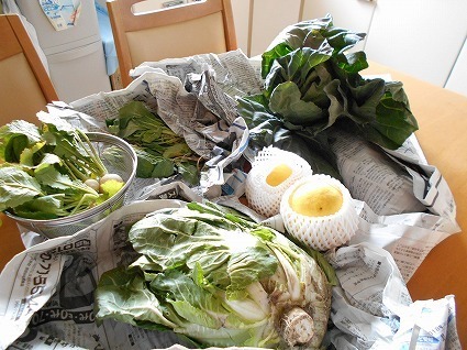 DSCN4709.jpg