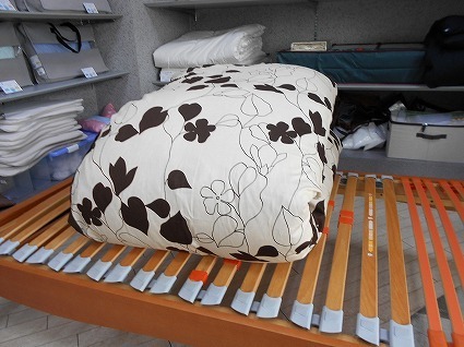 DSCN4717.jpg
