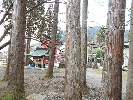 DSCN4771.jpg