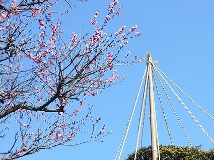 DSCN4782.jpg