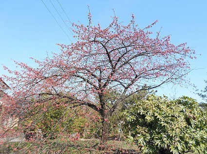 DSCN4814.jpg