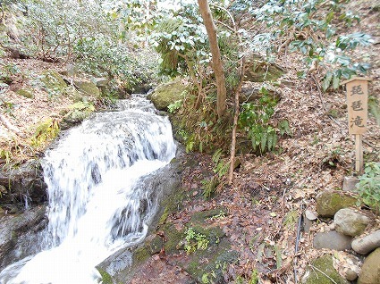 DSCN4821.jpg