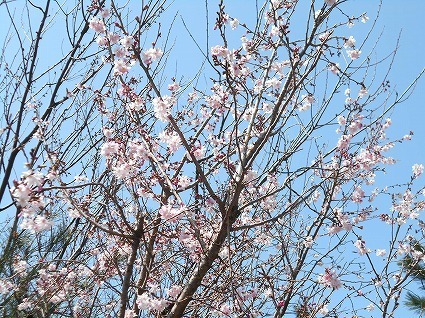 DSCN4829.jpg