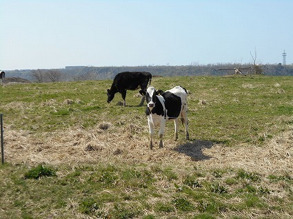 DSCN4832.jpg
