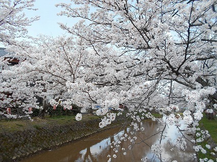 DSCN4844.jpg
