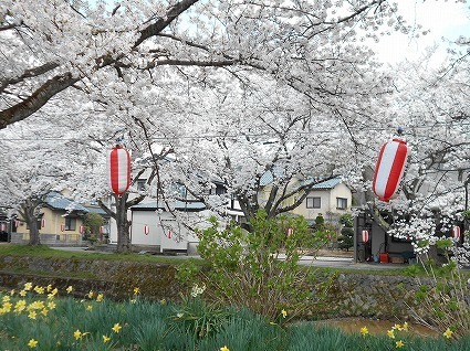 DSCN4845.jpg