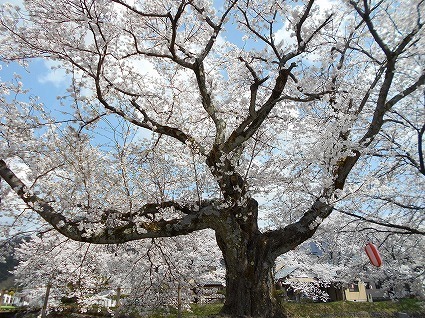 DSCN4846.jpg