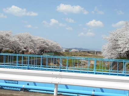 DSCN4847.jpg