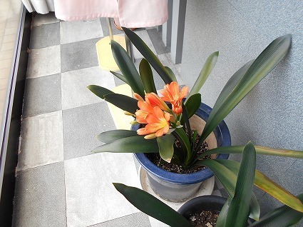 DSCN4860.jpg