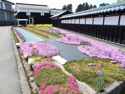 DSCN4865.jpg