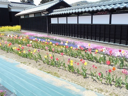 DSCN4866.jpg