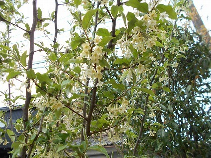 DSCN4879.jpg