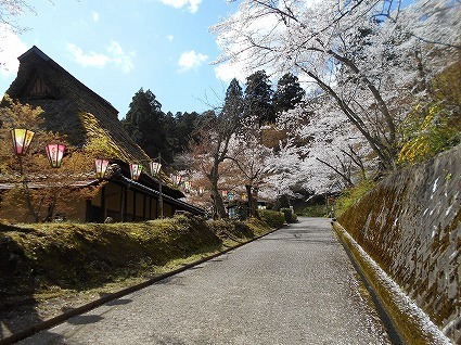 DSCN5692.jpg