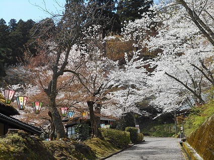 DSCN5693.jpg