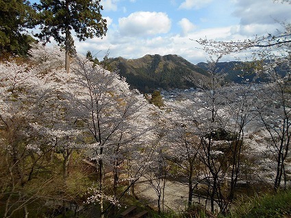 DSCN5695.jpg