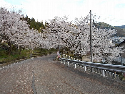 DSCN5698.jpg
