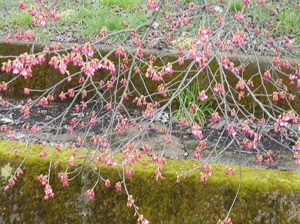 DSCN6318.jpg