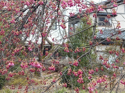 DSCN6319.jpg