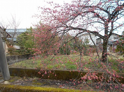 DSCN6320.jpg
