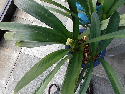 DSCN6325.jpg