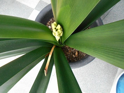 DSCN6327.jpg
