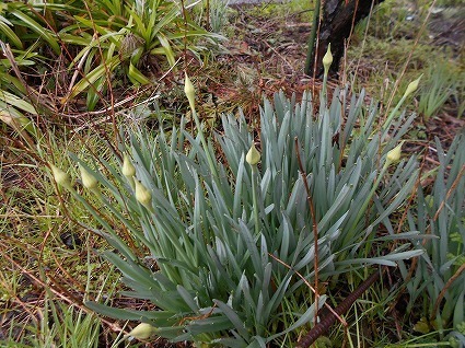 DSCN6329.jpg